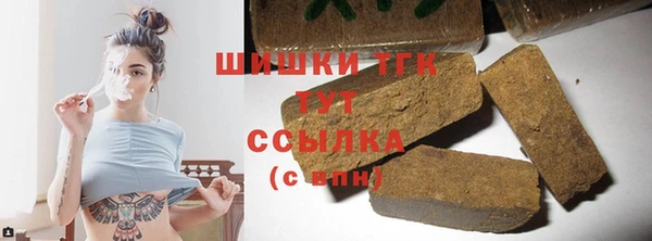 индика Аша