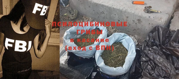 спайс Медвежьегорск