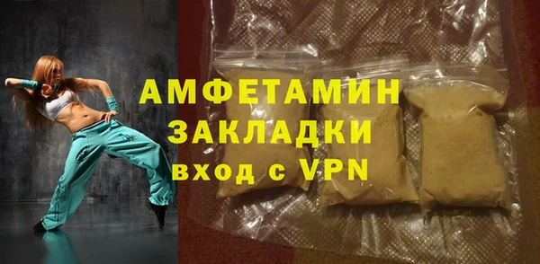 индика Аша