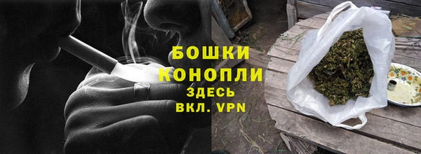индика Аша