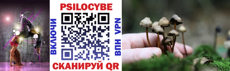 Галлюциногенные грибы Cubensis  это клад  Барнаул 