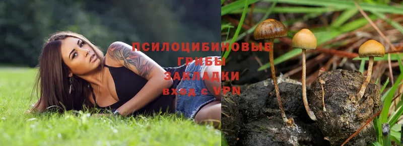 Галлюциногенные грибы Magic Shrooms  Барнаул 