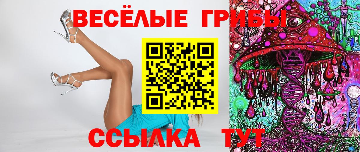 Псилоцибиновые грибы Psilocybe  Псилоцибиновые грибы прущие грибы  магазин продажи наркотиков  Барнаул  Вход с VPN 