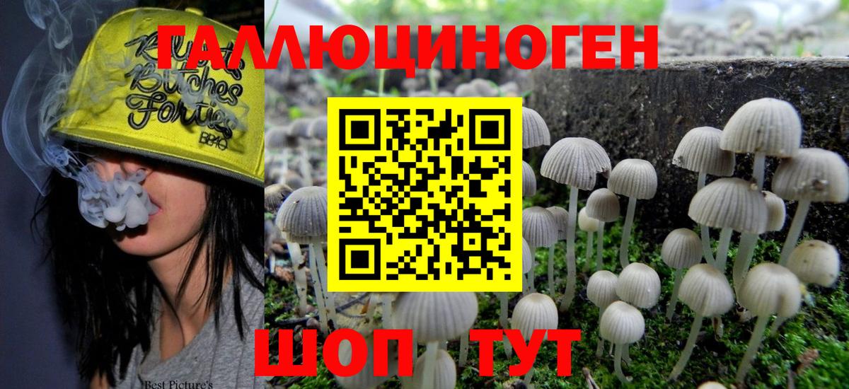 Псилоцибиновые грибы Magic Shrooms  Галлюциногенные грибы GOLDEN TEACHER  Барнаул 