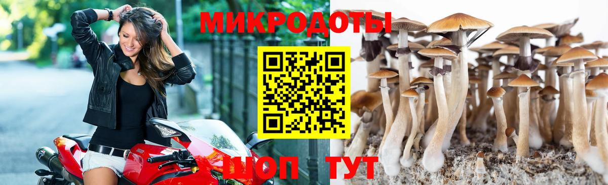 Галлюциногенные грибы ЛСД Барнаул
